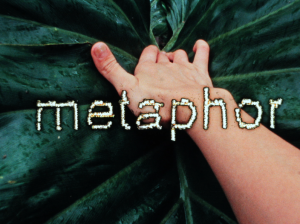 A hand sensually stroking a large green leaf overlaid with the word “metaphor.”