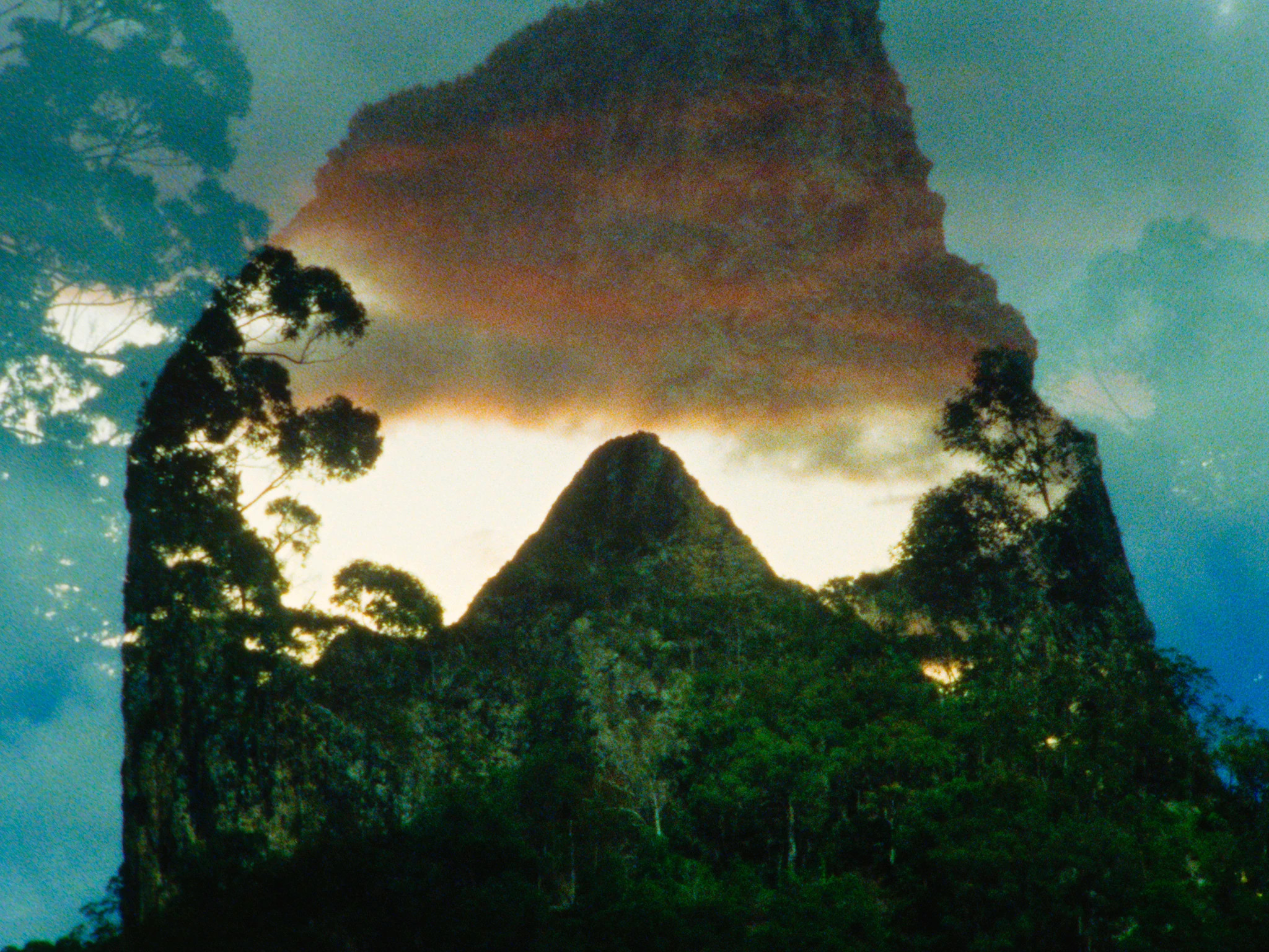 Archipelago of Earthen Bones — To Bunya, Malena Szlam, 2024. Courtesy of the artist and Light Cone.