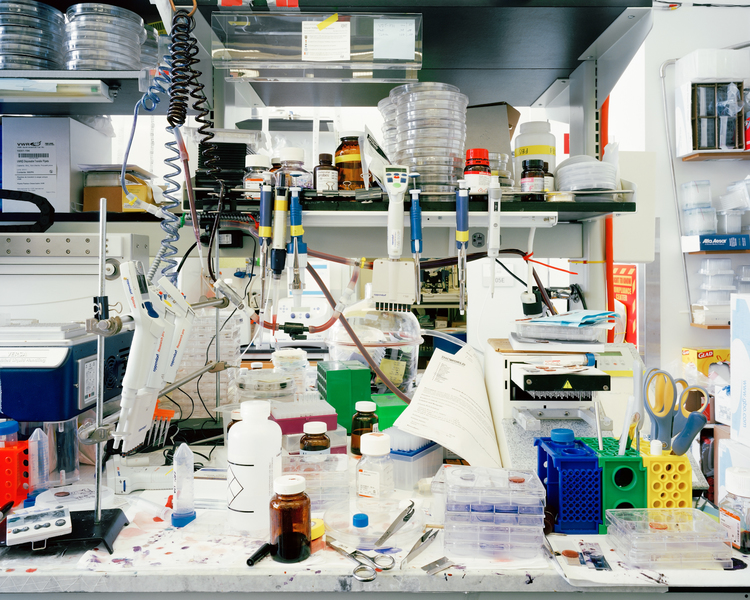 laboratories_zhangbolong-liu