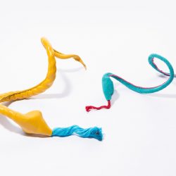 Kendall Wrightson-Chicken Toys