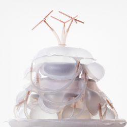 Martha Poggioli-Liquid Diet