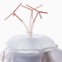 Martha Poggioli-Liquid Diet