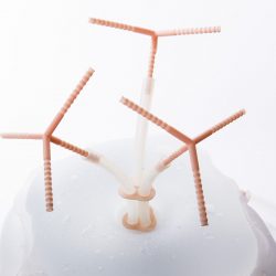 Martha Poggioli-Liquid Diet