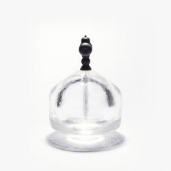 Sepide Ladani-In Vitro