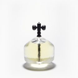 Sepide Ladani-In Vitro