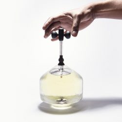 Sepide Ladani-In Vitro