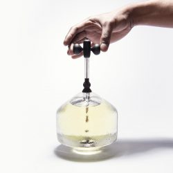 Sepide Ladani-In Vitro