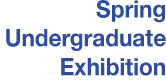 SAIC Undergraduate Exhibition