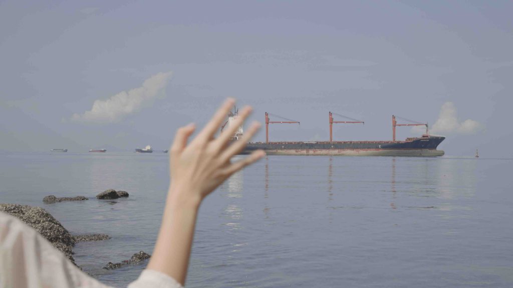 A large container ship in a blue ocean harbor. In the foreground of the image is a waving hand.