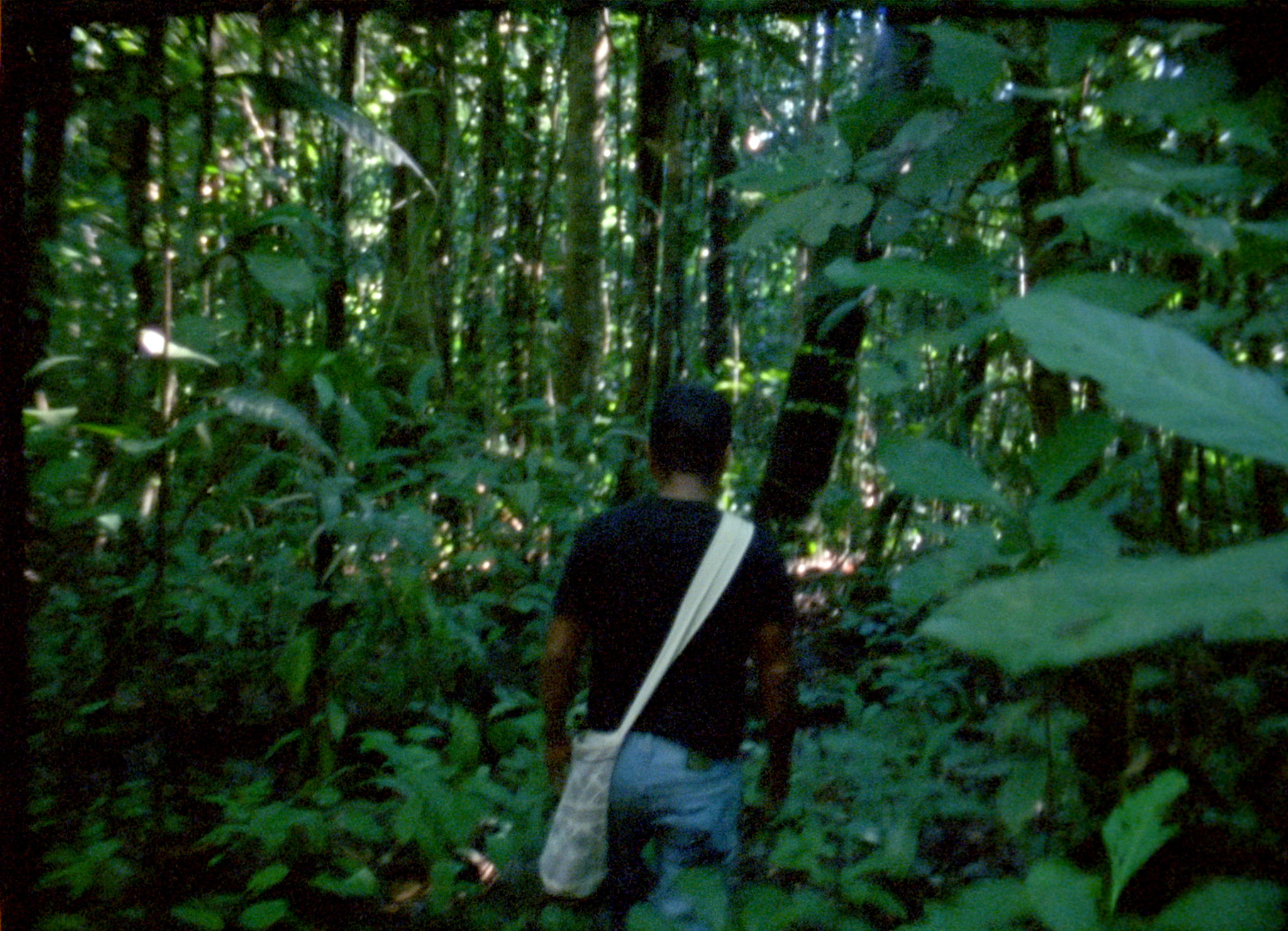 Laura Huertas Millán, The Labyrinth, 2018. Courtesy of the artist and Video Data Bank.