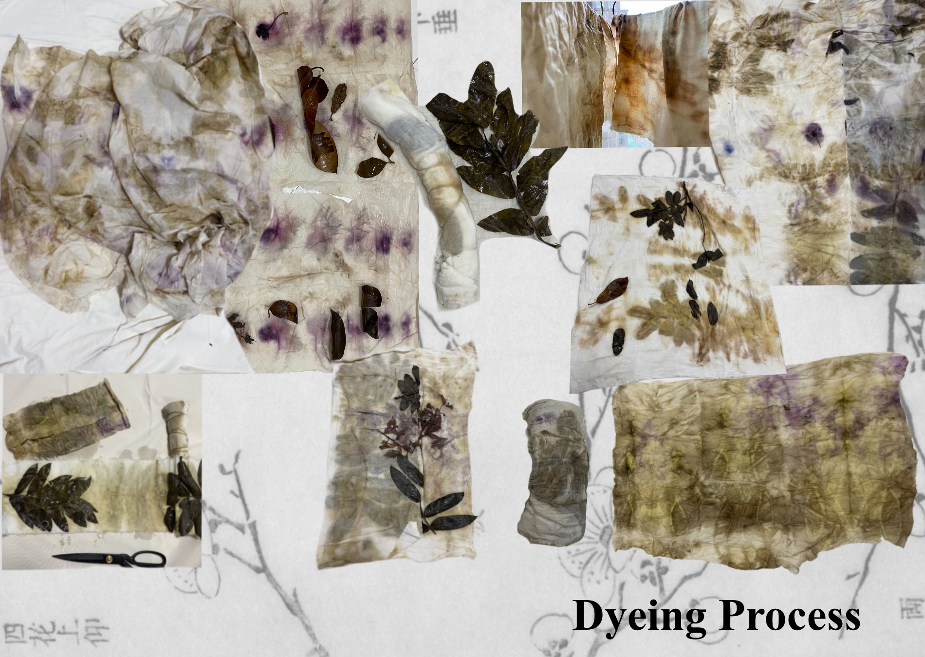 Ying Wang - Dyeing Process