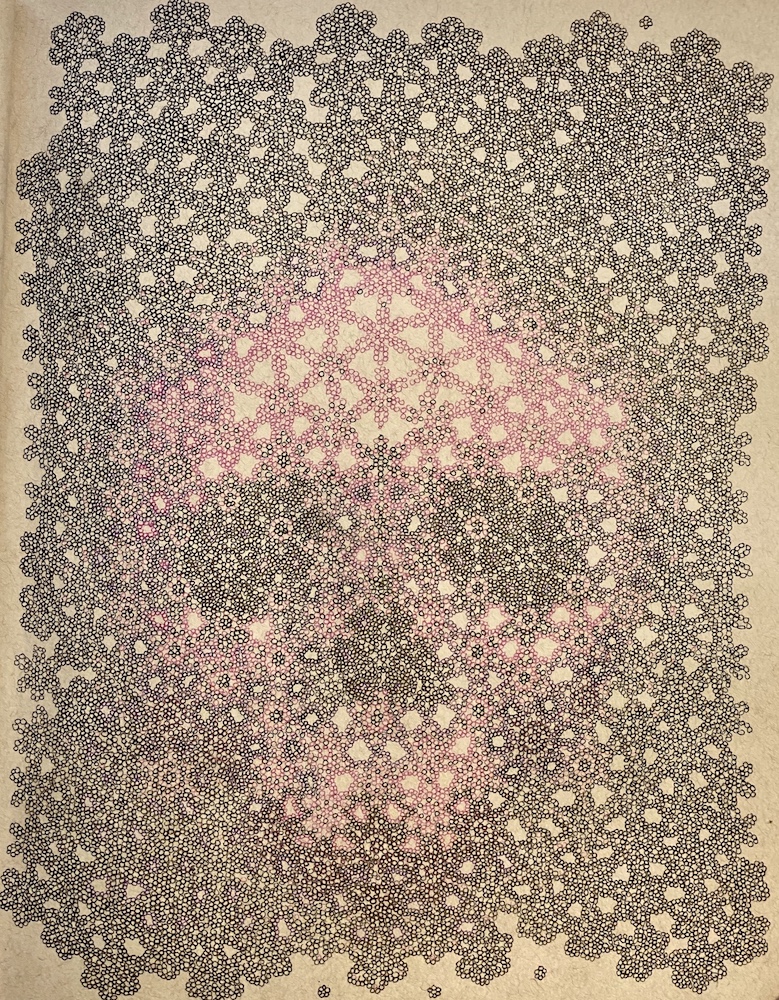 Seth Sexton - Pink Skull Shroud Study