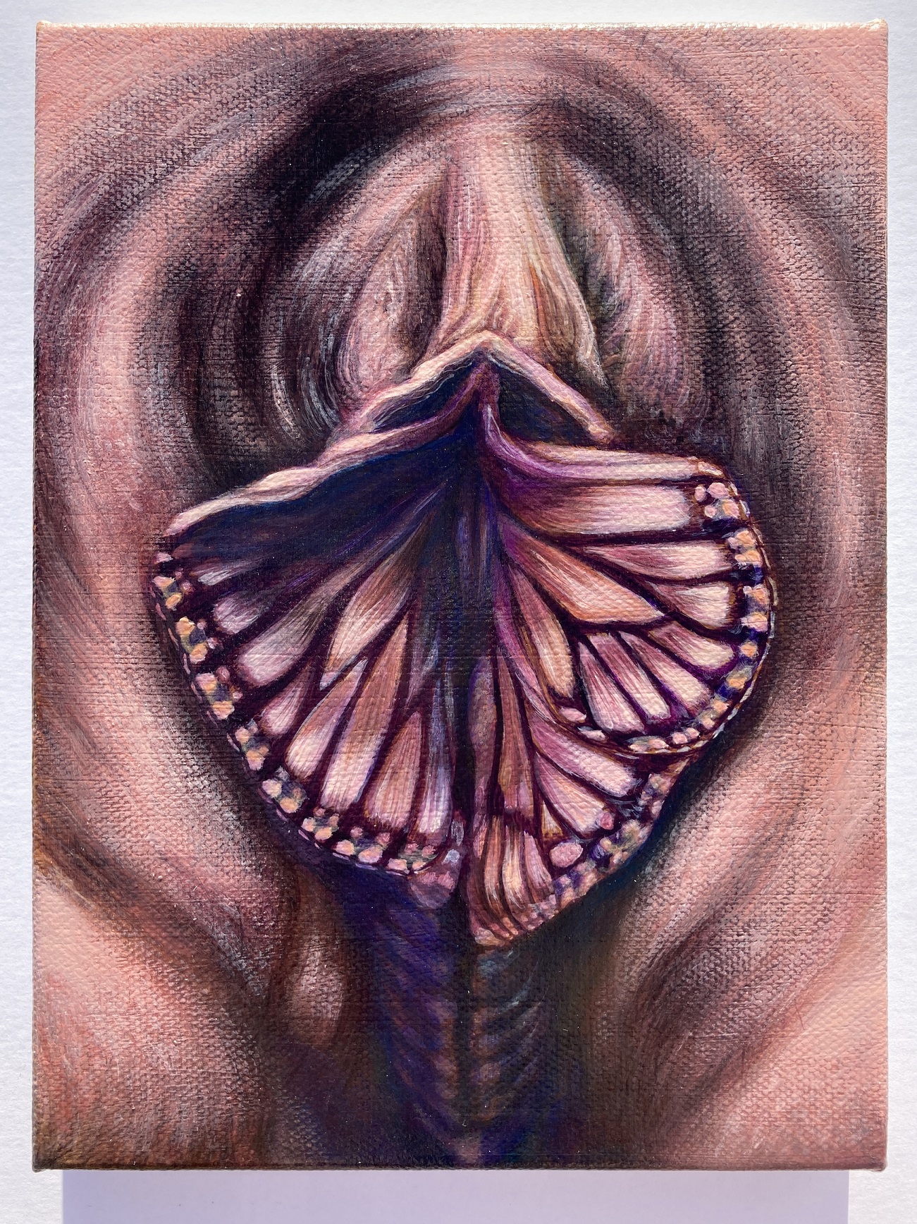 Jessica DuPreez - (La)bi[a]diversity Series: Papilionoidea Yoni Fig. 4