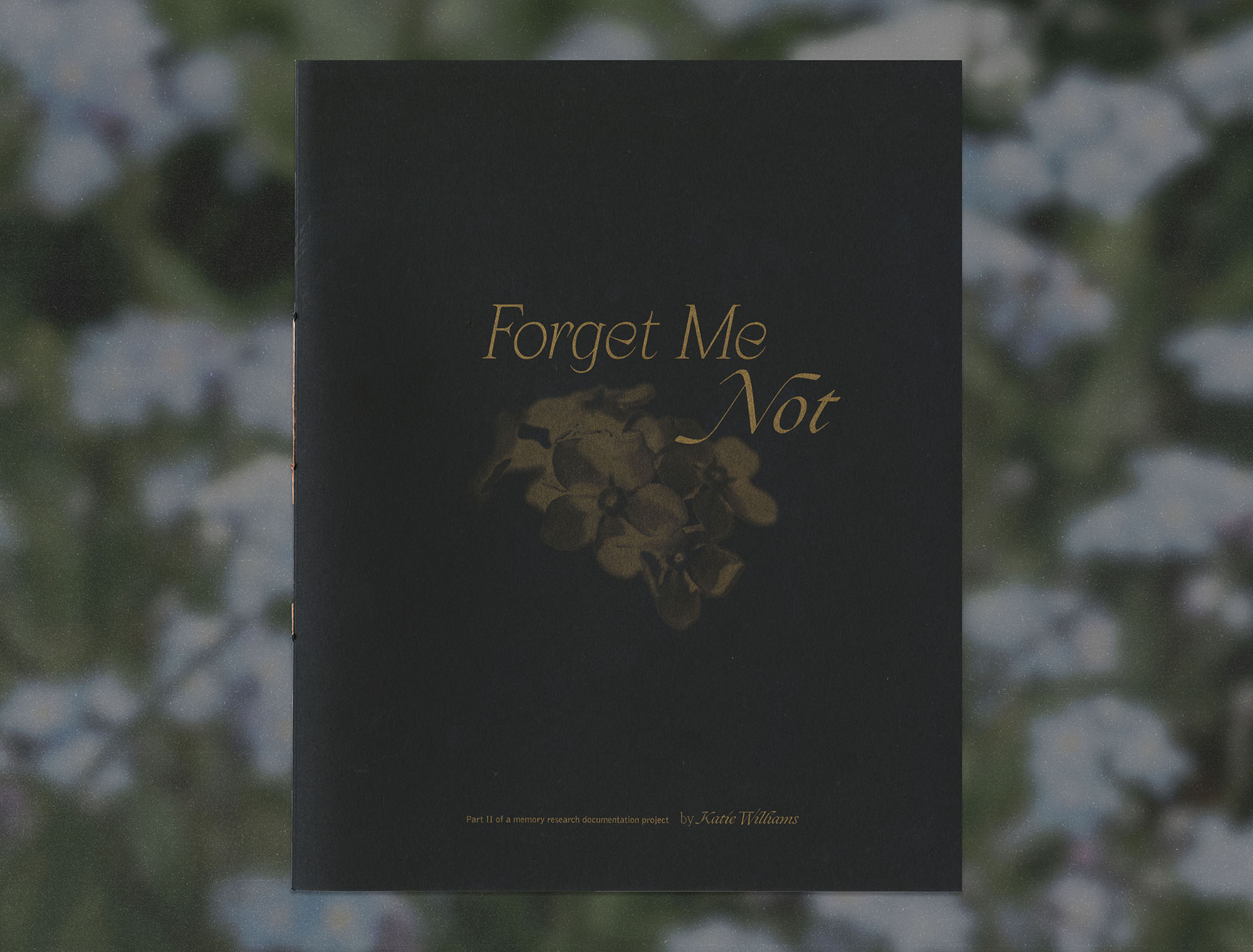 Katie Williams - Forget Me Not